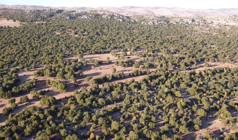 Deprem bölgesinde 450 hektarlık alan onarılacak