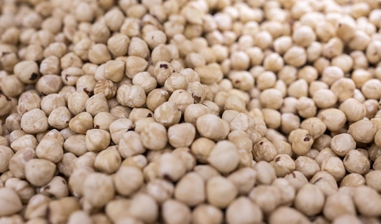 Türkiye fındık ihracatından 5 ayda yaklaşık 973 milyon dolar gelir sağladı