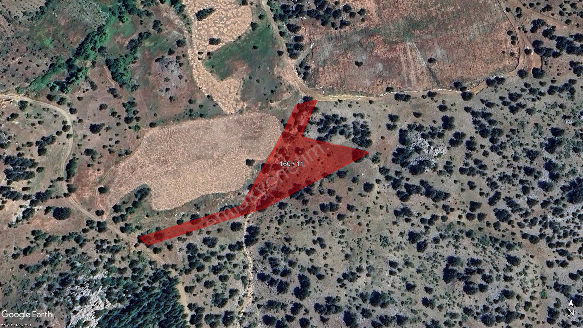 51 ilde arsa satışı için başvurular yarın başlıyor: İşte fiyatlar ve örnek arsalar