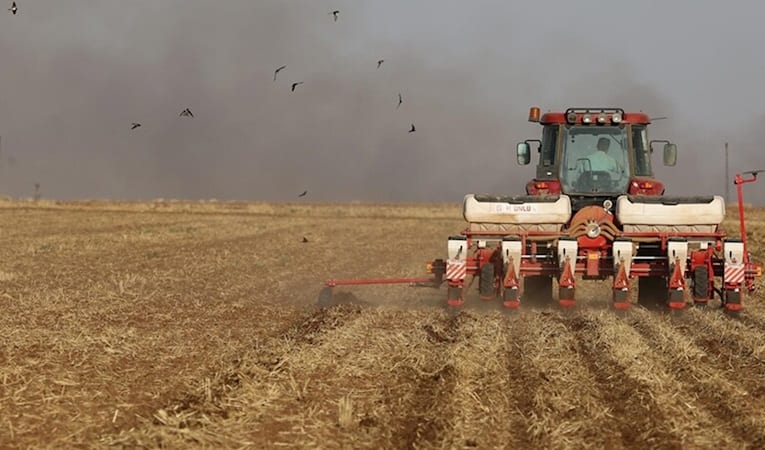 Tarımsal girdi fiyatları yıllık bazda yüzde 31,55 yükseldi