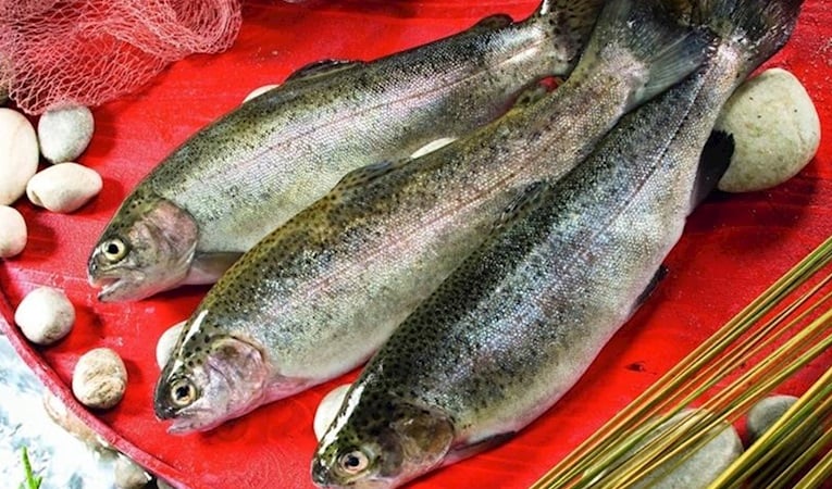 Türk somonu ihracatı yıla yükselişle başladı