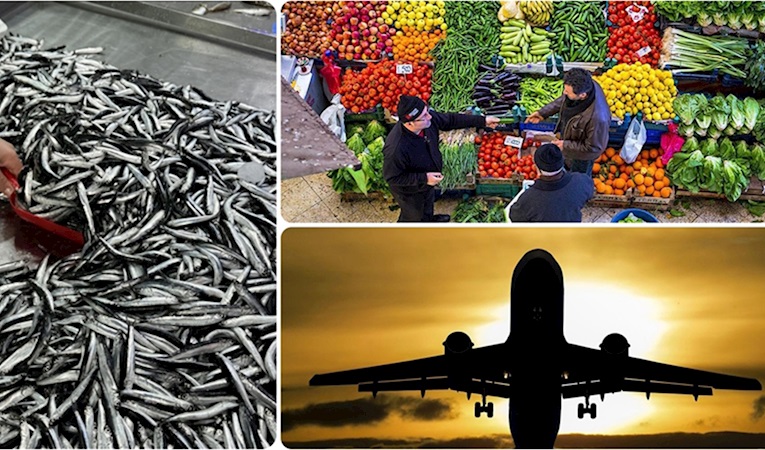 Aralık'ta fiyatı en fazla artan ve düşen ürünler hangileri oldu?