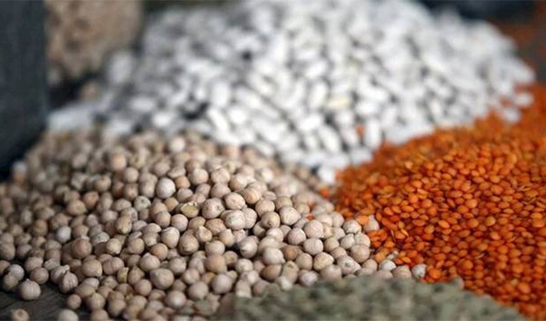 Güneydoğu'nun hububat ihracatı arttı