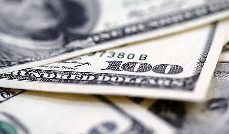 Reel efektif döviz kuru endeksi Ocak'ta 102,17 oldu