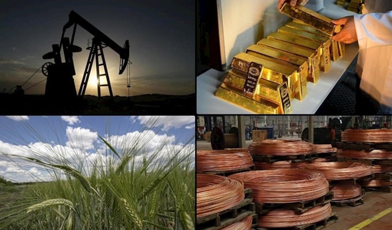 Emtia piyasasında geçen yılki rekorlar Ocak'ta da sürdü