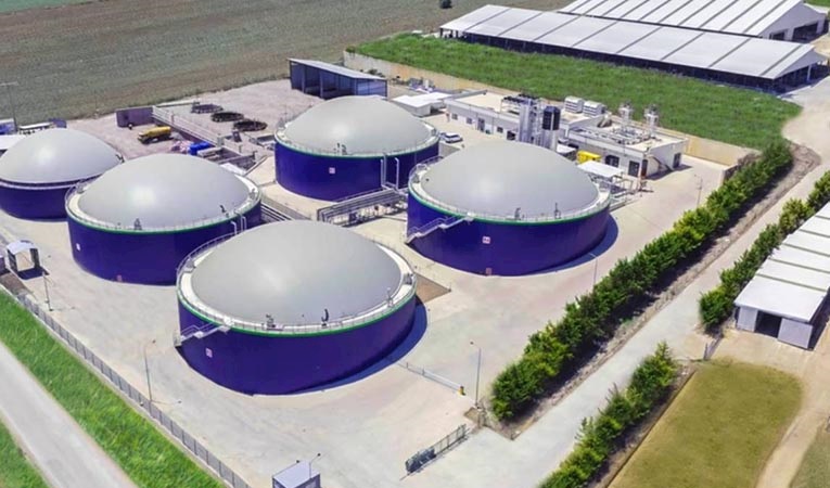 Ecogreen Enerji halka arz tarihi: Lot sayısı, fiyatı ne kadar, ne iş yapıyor?