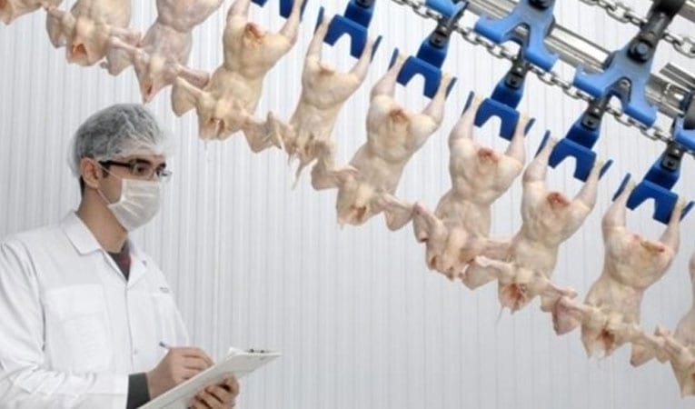 Şeker Piliç iflas etti!