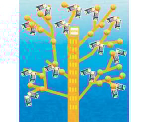 DİKEYE DÖNEN HIZLI BÜYÜYOR