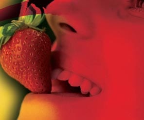 THE GIANTS’ ORGANIC PASSION