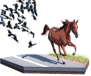 Yüksek yoğunluklu girişimci