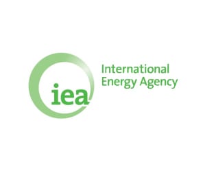 Türkiye kartını iyi oynamalı