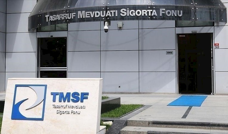 TMSF, bir şirketi daha satışa çıkardı: İhale günü