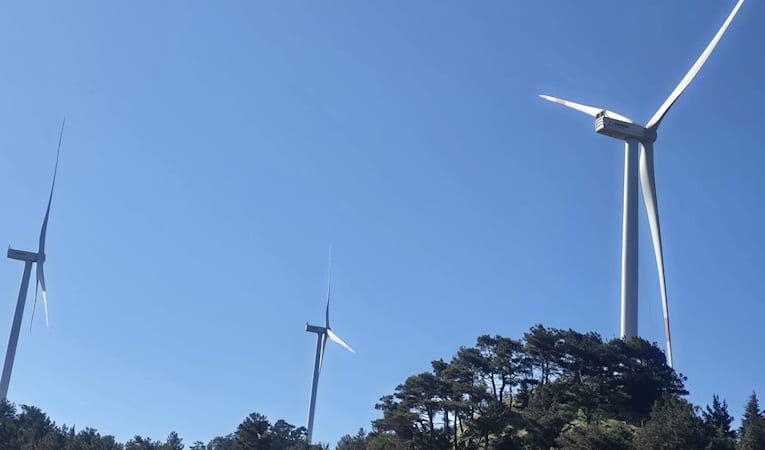 RES projelerinin üçte birinde ARI-ES Enerji imzası var