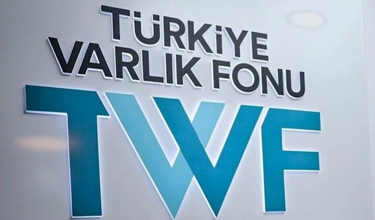 Türkiye Varlık Fonu küresel performansını güçlendirdi