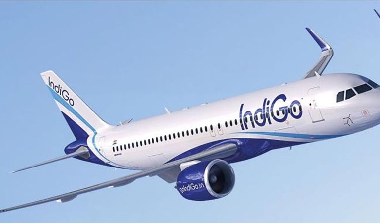 Hint hava yolu şirketi Indigo, 500 Airbus uçağı sipariş etti