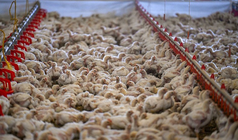Beyaz et sektörünün ünlü firmalarına soruşturma 
