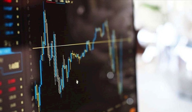 Yerli yatırımcıların hisse senedi varlıkları bir yılda yüzde 45 büyüdü