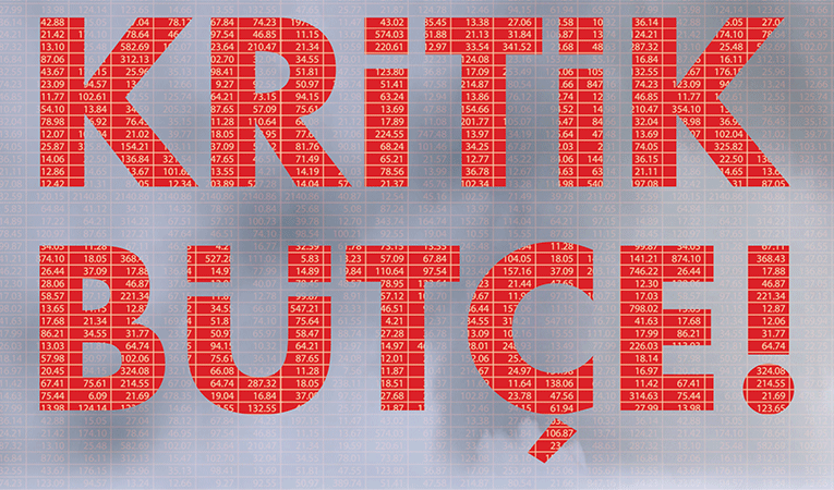 Kritik bütçe