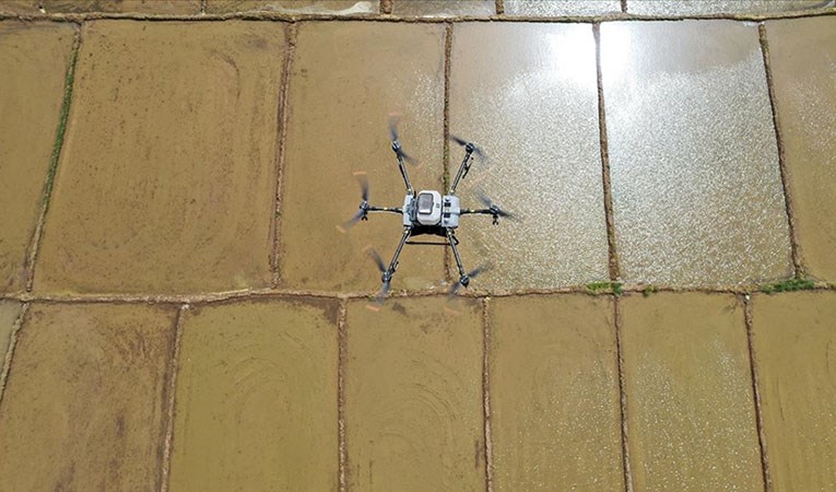 Çiftçiler dron ile çeltik ekimine başladı