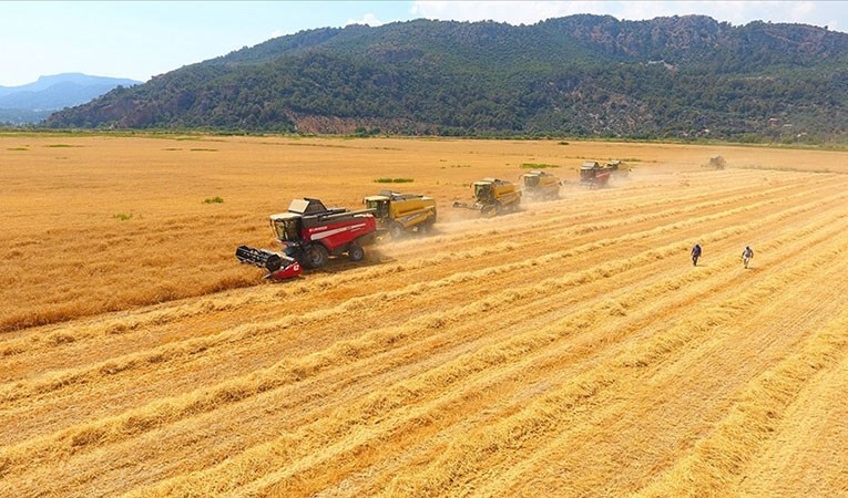 Tarımda üretici enflasyonu yıllık bazda 3 haneye çıktı