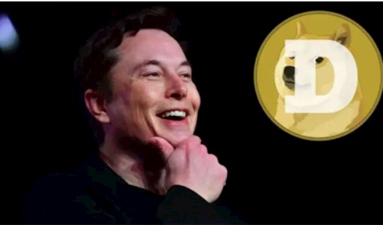 Dogecoin’de artış var: Elon Musk'ın mesajı ne anlama geliyor?