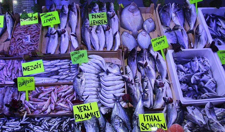 Denizlerde av yasağı başlıyor. Balıkçılar bu sezon "lüferi" bol, "palamudu" az buldu.