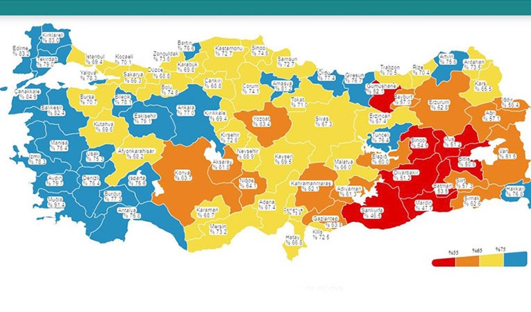 Aşılama haritasında batı illeri 'maviye' büründü