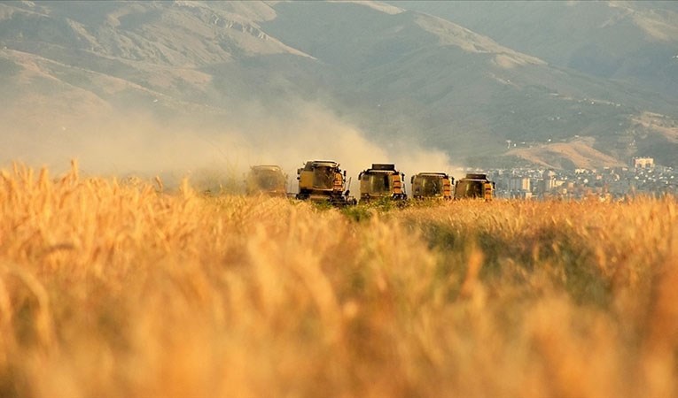 Tarımda üretici fiyatları yüzde 24,69 arttı