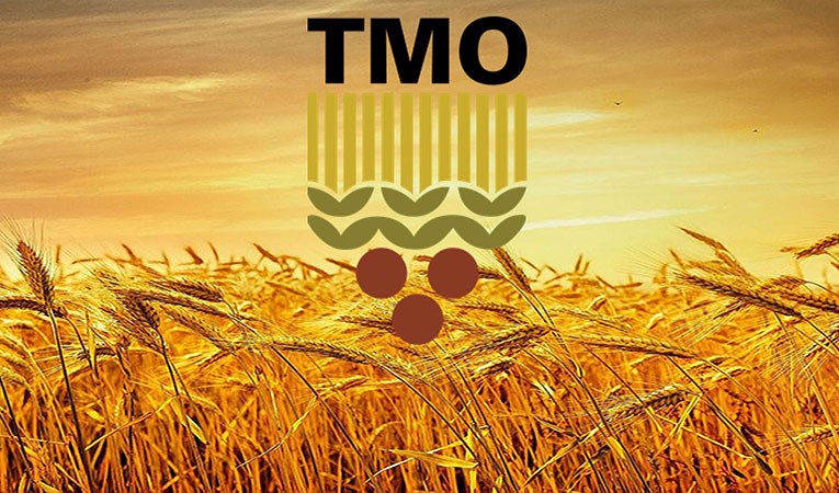 TMO hububat alım fiyatlarını artırdı