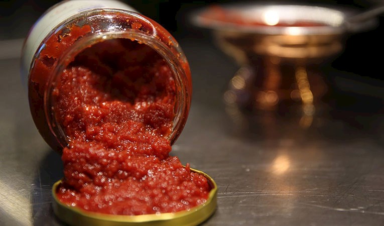 Domates konservesi ve salça ihracatı kayda bağlandı