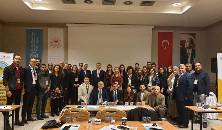 3,5 milyar TL'lik muz üretiminde hastalık tehdidi