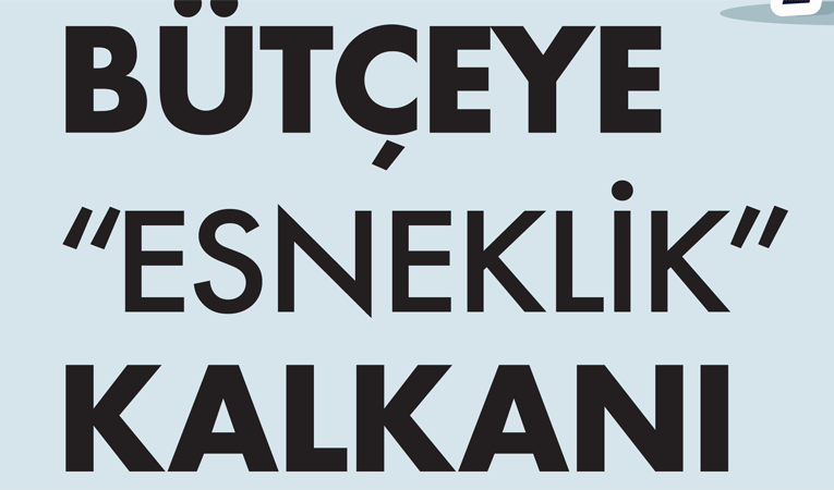 Bütçeye esneklik kalkanı