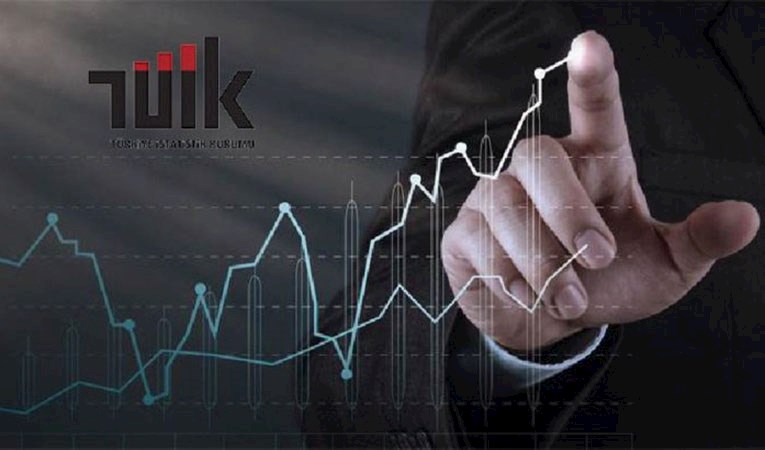TÜİK Başkan Yardımcısı görevden alındı