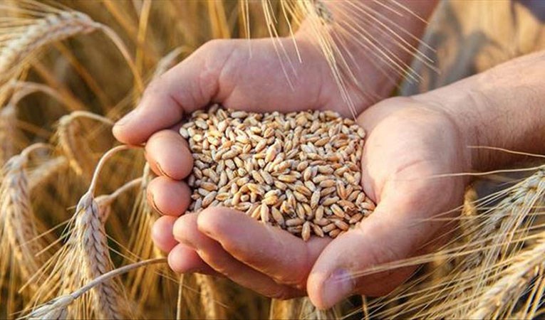 Rusya ile BM 'Ukrayna tahılı' için buluştu