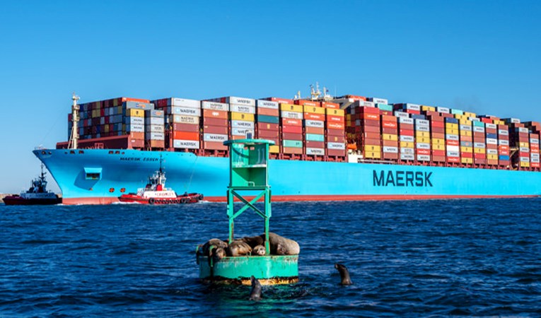 Maersk, Kızıldeniz'deki nakliye operasyonlarını durdurdu